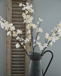 Appelbloesem Tak Zacht Roze