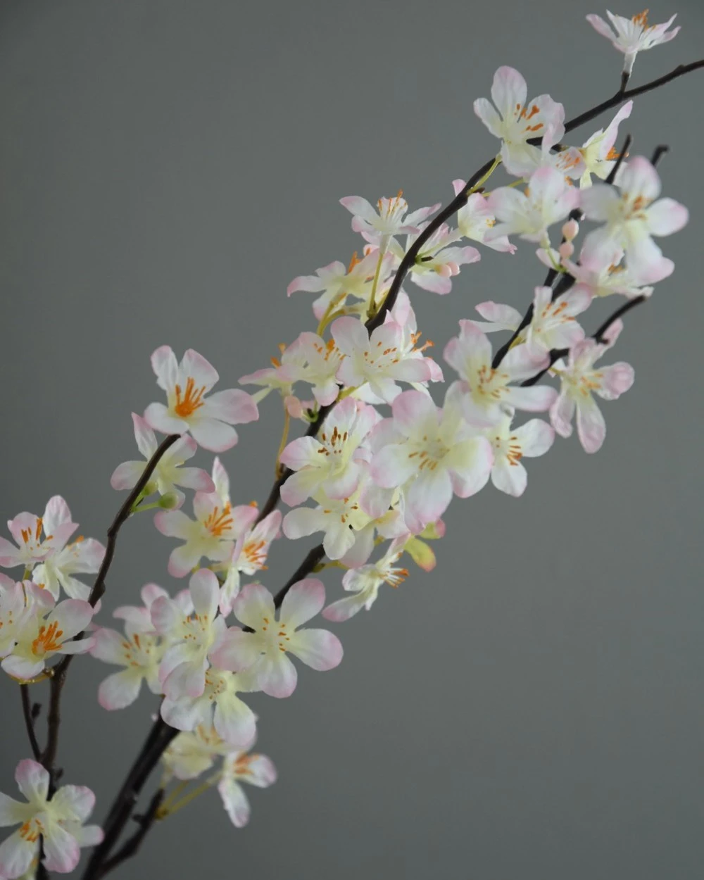 Appelbloesem Tak Zacht Roze 4 Appelbloesem Tak Zacht Roze - Afbeelding 2