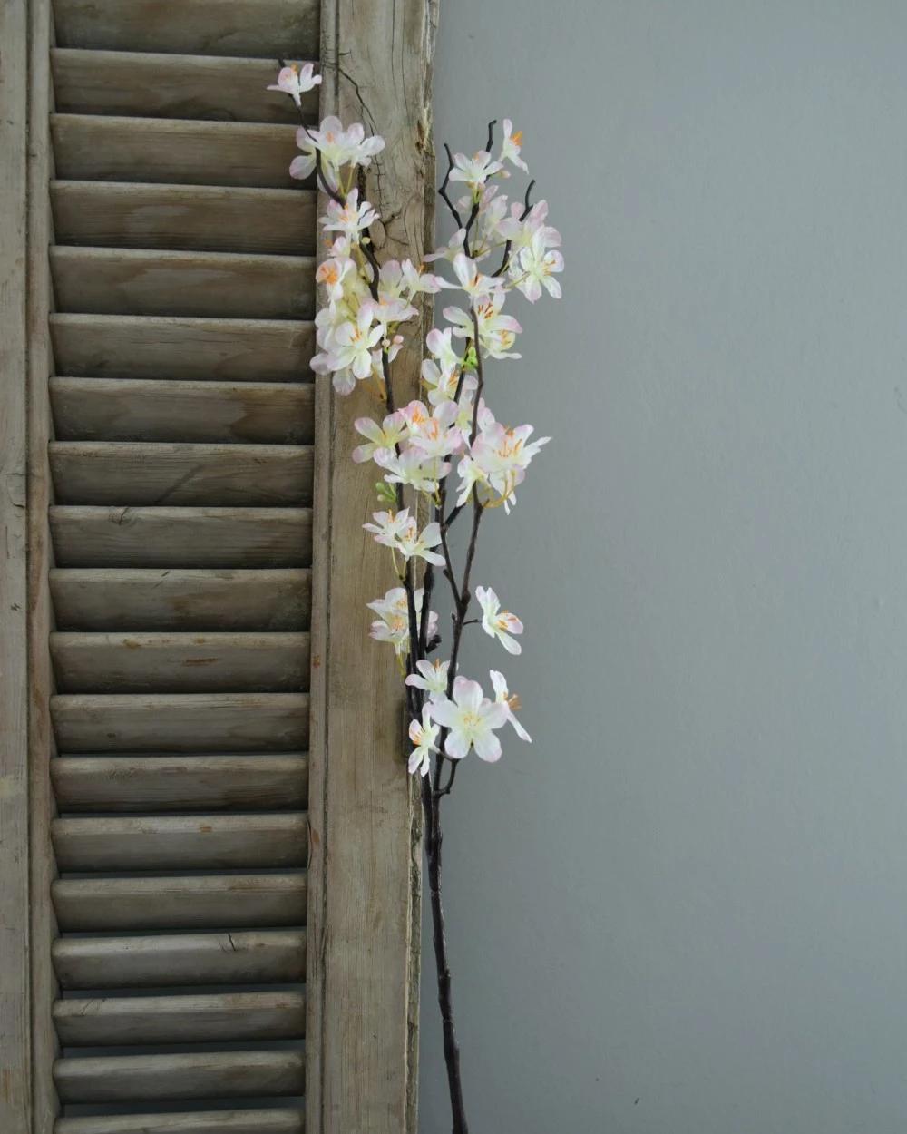 Appelbloesem Tak Zacht Roze 6 Appelbloesem Tak Zacht Roze - Afbeelding 4