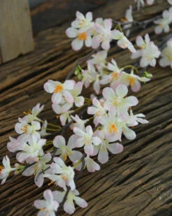 Appelbloesem Tak Zacht Roze 14 Appelbloesem Tak Zacht Roze -Bekend Decoratie Winkel appelbloesem tak zacht roze 1 4
