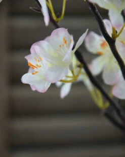Appelbloesem Tak Zacht Roze 15 Appelbloesem Tak Zacht Roze -Bekend Decoratie Winkel appelbloesem tak zacht roze 1 5