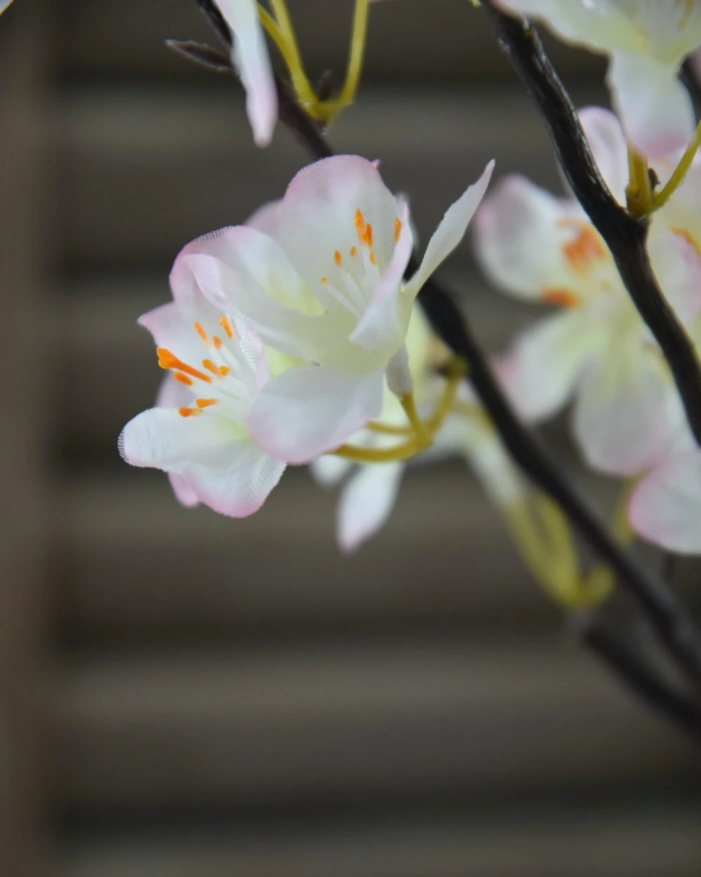 Appelbloesem Tak Zacht Roze 8 Appelbloesem Tak Zacht Roze - Afbeelding 6