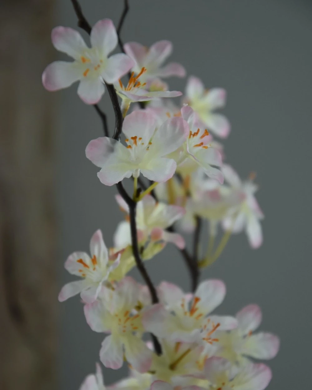 Appelbloesem Tak Zacht Roze 9 Appelbloesem Tak Zacht Roze - Afbeelding 7