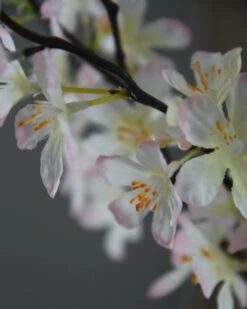 Appelbloesem Tak Zacht Roze 17 Appelbloesem Tak Zacht Roze -Bekend Decoratie Winkel appelbloesem tak zacht roze 1 7