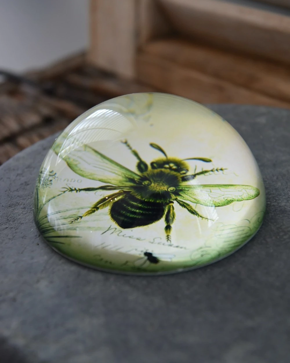 Botanische Insect Presse Papier Bij, Groot 4 Botanische Insect Presse Papier Bij, Groot - Afbeelding 2