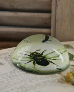 Botanische Insect Presse Papier Bij, Groot 14 Botanische Insect Presse Papier Bij, Groot -Bekend Decoratie Winkel botanische insect presse papier bij groot 4