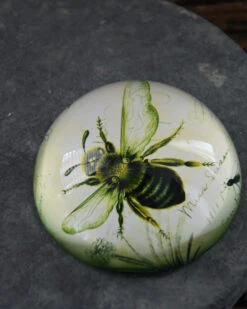 Botanische Insect Presse Papier Bij, Groot 15 Botanische Insect Presse Papier Bij, Groot -Bekend Decoratie Winkel botanische insect presse papier bij groot 5