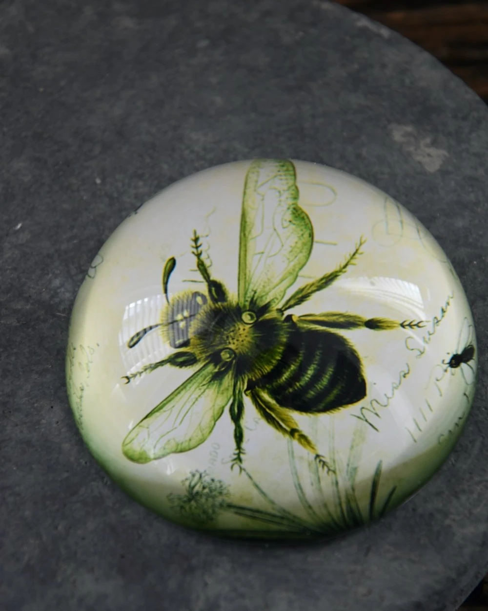 Botanische Insect Presse Papier Bij, Groot 8 Botanische Insect Presse Papier Bij, Groot - Afbeelding 6