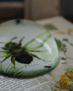 Botanische Insect Presse Papier Bij, Groot 16 Botanische Insect Presse Papier Bij, Groot -Bekend Decoratie Winkel botanische insect presse papier bij groot 6