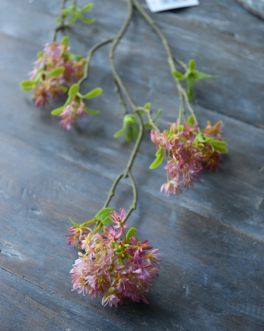 Bouvardia Bloesemtak In Roze, Brynxz 5 Bouvardia Bloesemtak In Roze, Brynxz - Afbeelding 3