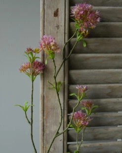 Bouvardia Bloesemtak In Roze, Brynxz 14 Bouvardia Bloesemtak In Roze, Brynxz -Bekend Decoratie Winkel bouvardia bloesemtak in roze brynxz 4