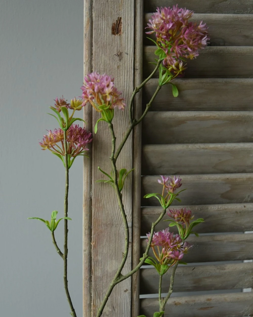 Bouvardia Bloesemtak In Roze, Brynxz 7 Bouvardia Bloesemtak In Roze, Brynxz - Afbeelding 5