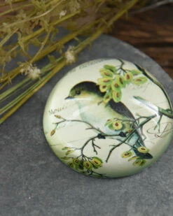 Brocante Glazen Halve Bol Vogel Op Tak, Groot -Bekend Decoratie Winkel brocante glazen halve bol vogel op tak groot 2