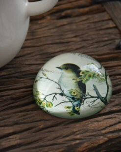 Brocante Glazen Halve Bol Vogel Op Tak, Groot -Bekend Decoratie Winkel brocante glazen halve bol vogel op tak groot 3