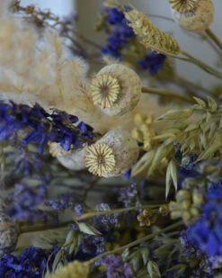 Droogbloem Pluk Boeket In Naturel Blauw Lila -Bekend Decoratie Winkel droogbloem pluk boeket in naturel blauw lila 4