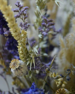 Droogbloem Pluk Boeket In Naturel Blauw Lila -Bekend Decoratie Winkel droogbloem pluk boeket in naturel blauw lila 7