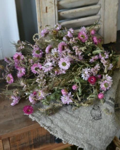 Droogbloem Toef In Fijn Roze Groen