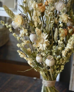 Droogbloem Toef In Gemengd Naturel Crème 12 Droogbloem Toef In Gemengd Naturel Crème -Bekend Decoratie Winkel droogbloem toef in gemengd naturel creme 4