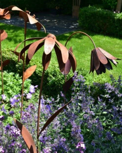 Echinacea Tuinsteker -Bekend Decoratie Winkel echinacea tuinsteker 1 2