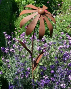 Echinacea Tuinsteker -Bekend Decoratie Winkel echinacea tuinsteker 1 3