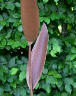 Echinacea Tuinsteker -Bekend Decoratie Winkel echinacea tuinsteker 1 4