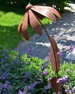 Echinacea Tuinsteker -Bekend Decoratie Winkel echinacea tuinsteker 1 6