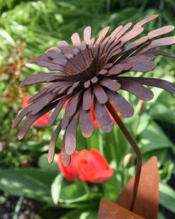 Ecoroest Tuinprikker Bloem Zinnia -Bekend Decoratie Winkel ecoroest tuinprikker bloem zinnia 2