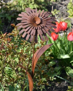 Ecoroest Tuinprikker Bloem Zinnia -Bekend Decoratie Winkel ecoroest tuinprikker bloem zinnia 3