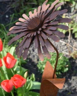 Ecoroest Tuinprikker Bloem Zinnia -Bekend Decoratie Winkel ecoroest tuinprikker bloem zinnia 7