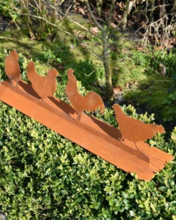 Familie Kip Met Haan Ecoroest Tuindecoratie