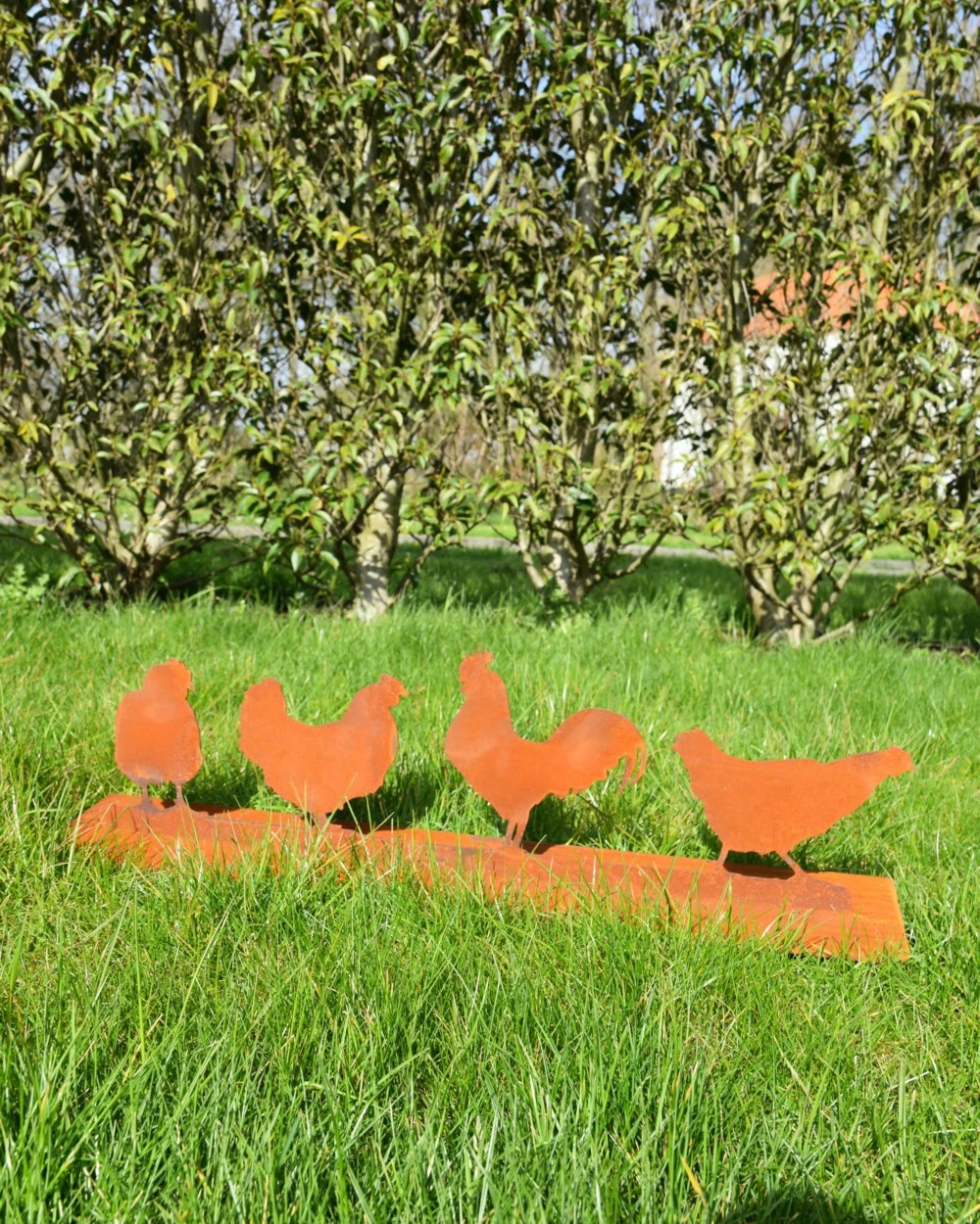 Familie Kip Met Haan Ecoroest Tuindecoratie 6 Familie Kip Met Haan Ecoroest Tuindecoratie - Afbeelding 4