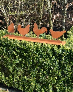 Familie Kip Met Haan Ecoroest Tuindecoratie 17 Familie Kip Met Haan Ecoroest Tuindecoratie -Bekend Decoratie Winkel familie kip met haan ecoroest tuindecoratie 7