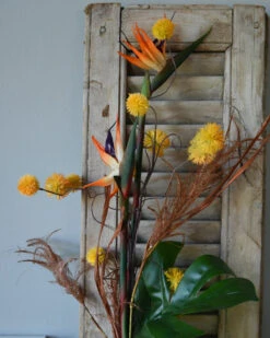 Fles Boeket Met Real Touch Strelitzia's, Paradijsvogelbloem 13 Fles Boeket Met Real Touch Strelitzia's, Paradijsvogelbloem -Bekend Decoratie Winkel fles boeket met real touch strelitzia s paradijsvogelbloem 4