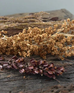 Gedroogde Gemengde Grassen En Zaaddozen 12 Gedroogde Gemengde Grassen En Zaaddozen -Bekend Decoratie Winkel gedroogde gemengde grassen en zaaddozen 2