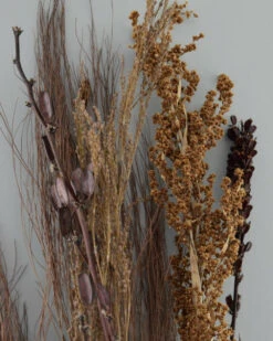 Gedroogde Gemengde Grassen En Zaaddozen 13 Gedroogde Gemengde Grassen En Zaaddozen -Bekend Decoratie Winkel gedroogde gemengde grassen en zaaddozen 3