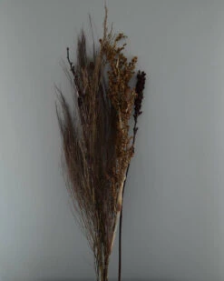 Gedroogde Gemengde Grassen En Zaaddozen 14 Gedroogde Gemengde Grassen En Zaaddozen -Bekend Decoratie Winkel gedroogde gemengde grassen en zaaddozen 4