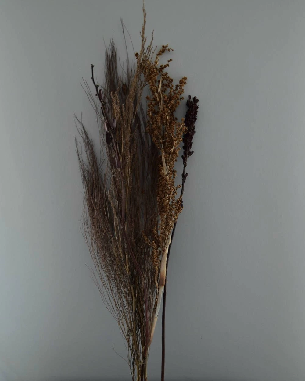 Gedroogde Gemengde Grassen En Zaaddozen 7 Gedroogde Gemengde Grassen En Zaaddozen - Afbeelding 5