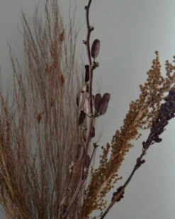 Gedroogde Gemengde Grassen En Zaaddozen 15 Gedroogde Gemengde Grassen En Zaaddozen -Bekend Decoratie Winkel gedroogde gemengde grassen en zaaddozen 5