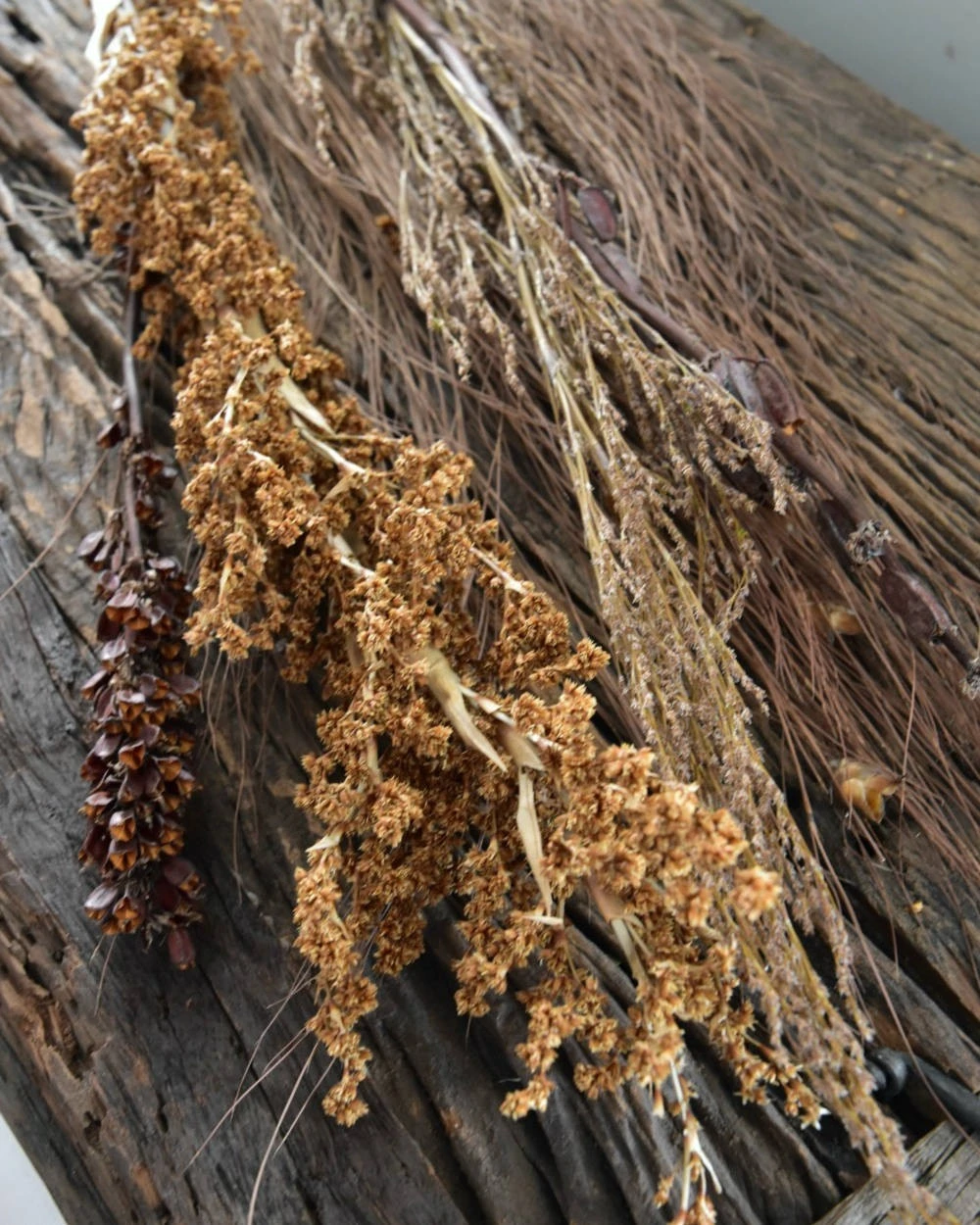 Gedroogde Gemengde Grassen En Zaaddozen 10 Gedroogde Gemengde Grassen En Zaaddozen - Afbeelding 8