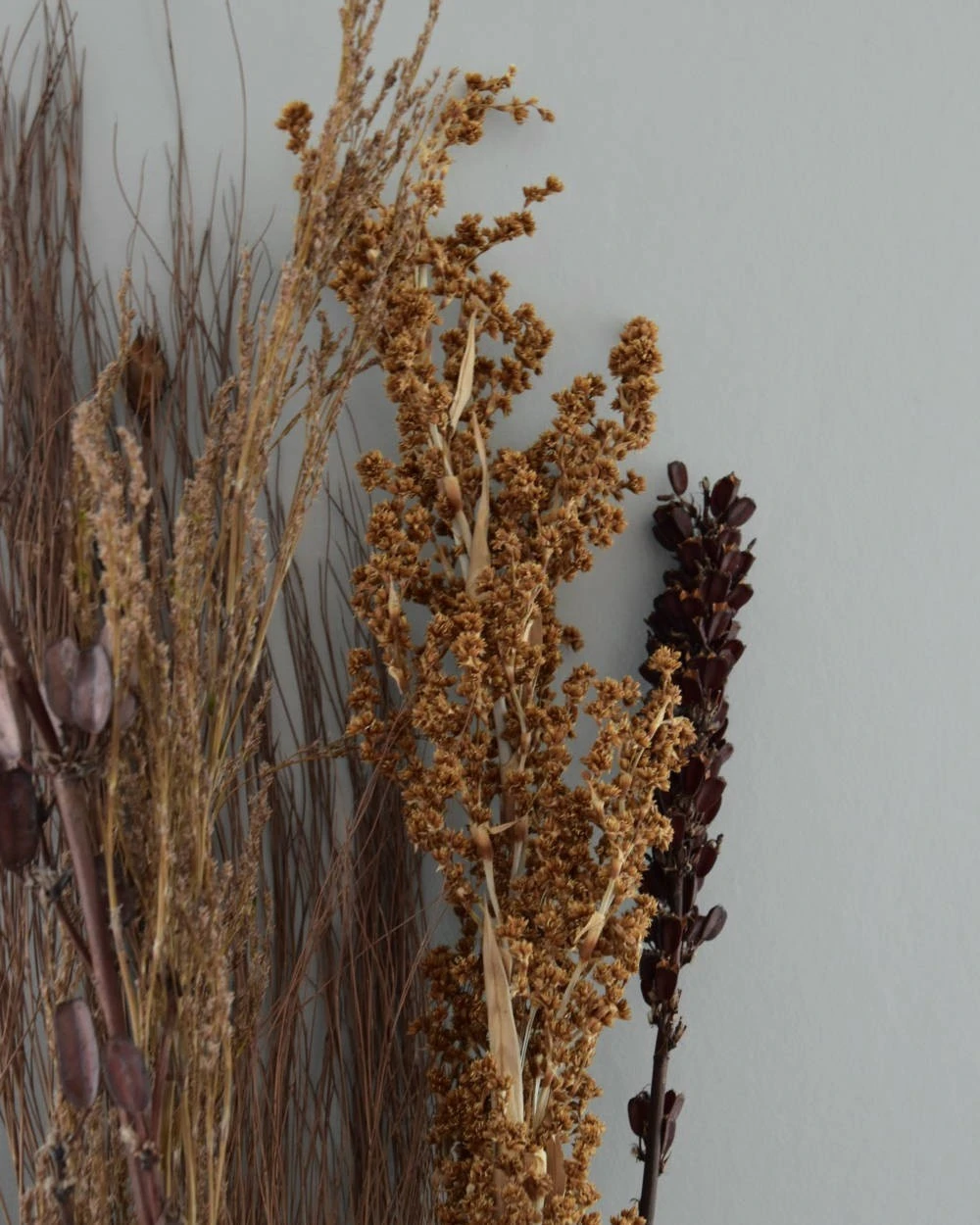 Gedroogde Gemengde Grassen En Zaaddozen 3 Gedroogde Gemengde Grassen En Zaaddozen