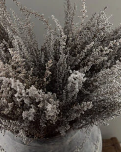 Bekend Decoratie Winkel -Bekend Decoratie Winkel gedroogde gepreserveerde stoebe pluim 1