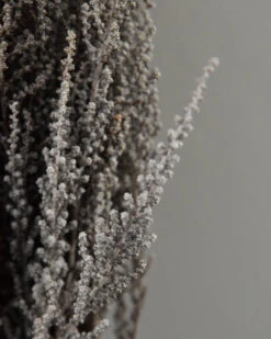 Gedroogde Gepreserveerde Stoebe Pluim -Bekend Decoratie Winkel gedroogde gepreserveerde stoebe pluim 2