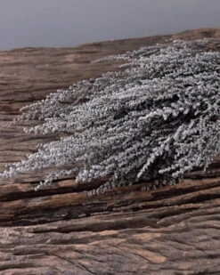 Bekend Decoratie Winkel 15 Gedroogde Gepreserveerde Stoebe Pluim