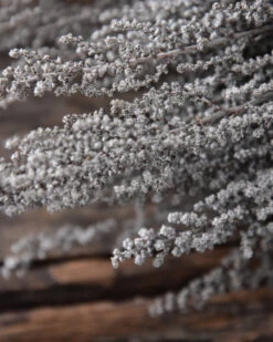 Gedroogde Gepreserveerde Stoebe Pluim -Bekend Decoratie Winkel gedroogde gepreserveerde stoebe pluim 3