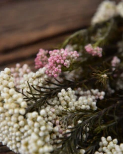 Gedroogde Rice Flower 10 Gedroogde Rice Flower -Bekend Decoratie Winkel gedroogde rice flower 2