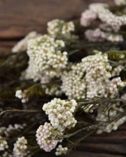 Gedroogde Rice Flower 13 Gedroogde Rice Flower -Bekend Decoratie Winkel gedroogde rice flower 5