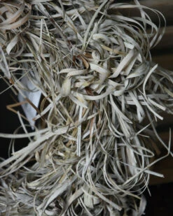 Gedroogde Tiririca Cyperus Gras Krans Stone Washed 13 Gedroogde Tiririca Cyperus Gras Krans Stone Washed -Bekend Decoratie Winkel gedroogde tiririca cyperus gras krans stone washed 5