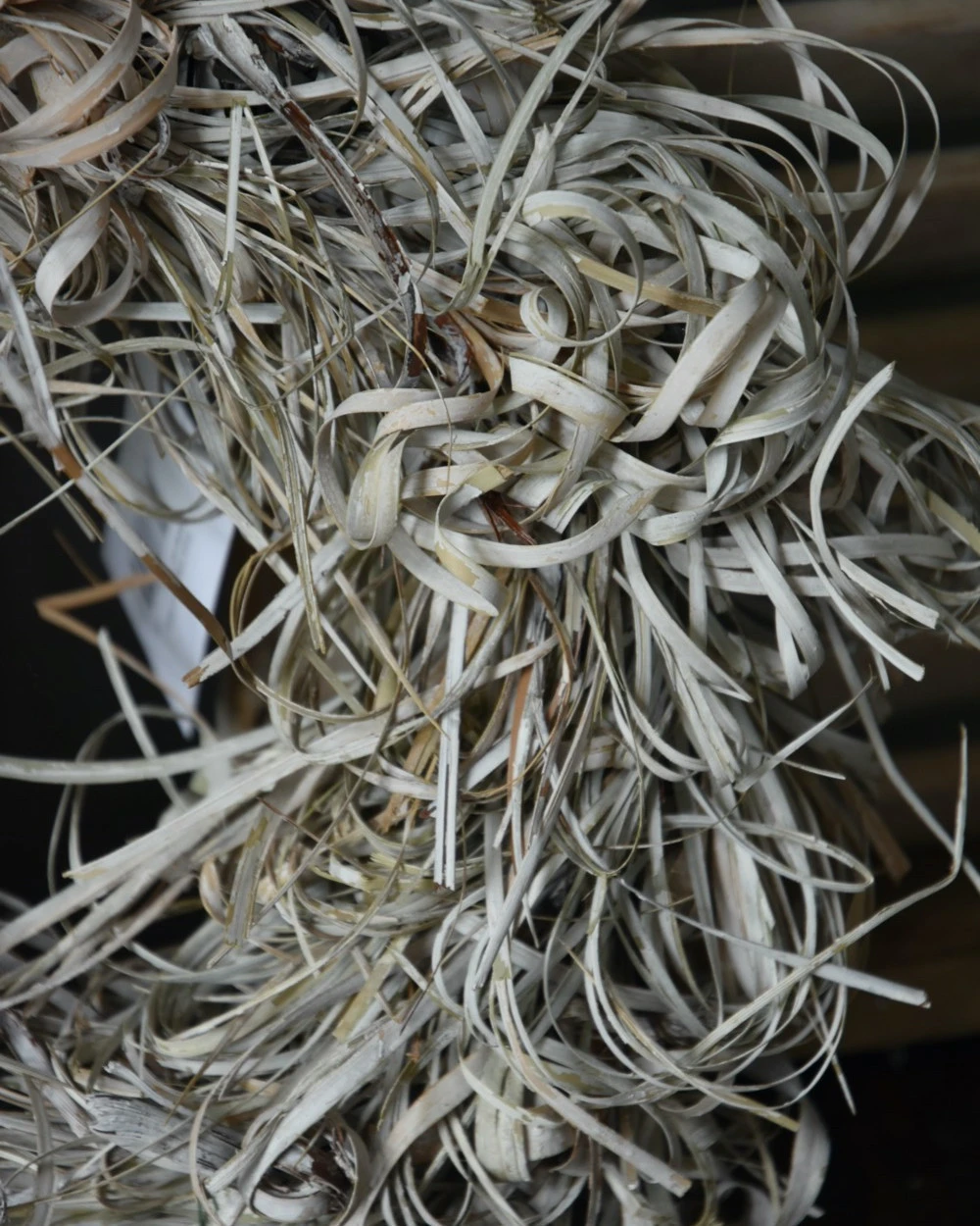 Gedroogde Tiririca Cyperus Gras Krans Stone Washed 8 Gedroogde Tiririca Cyperus Gras Krans Stone Washed - Afbeelding 6