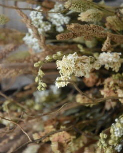 Gelaagd Naturel Crème Droogbloem Boeket 12 Gelaagd Naturel Crème Droogbloem Boeket -Bekend Decoratie Winkel gelaagd naturel creme droogbloem boeket 4