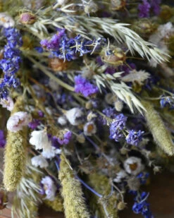 Gemengd Droogbloemen Boeket In Naturel Groen Lila En Blauw -Bekend Decoratie Winkel gemengd droogbloemen boeket in naturel groen lila en blauw 5